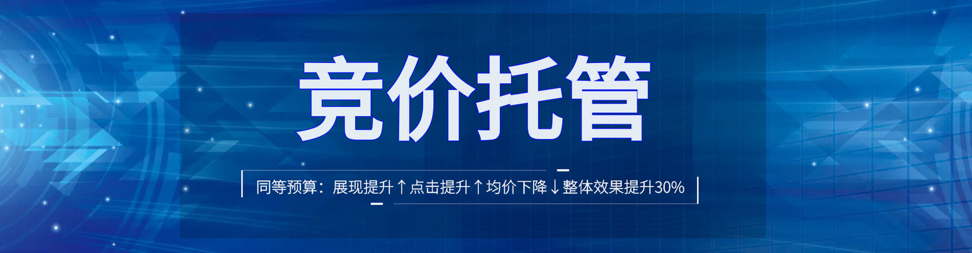 龙子湖百度广告竞价